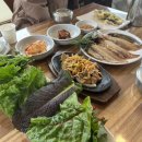 소나무자판기