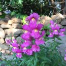 송촌2리 마을회관 이미지