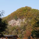 편백숲황토팬션 이미지