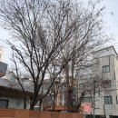 세진종합시설관리