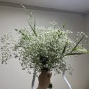 에이프릴플라워 | 청주 셀프생화부케 충청꽃백화점 에이프릴플라워 후기 (가성비로 가보자고)