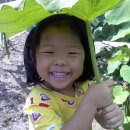 토란어린이집 이미지