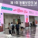 개를 위한 하루 | 개식용 종식을 위한 벡스코 제1회 동물보호의 날 축제 후기