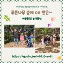 사회복지법인 평안밀알복지재단 이미지