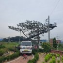 설봉차유리