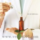 헤어살롱비너스