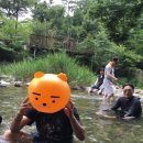 가자투어 Daum카페