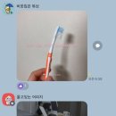 미라클모닝을 위한 기상스터디 카이로스 참여후기