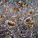 두류공원관리사무소 이미지