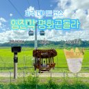 하늘길 | 파주 데이트 코스 임진각 DMZ 하늘길 평화곤돌라, 케이블카 후기