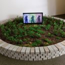 에코리움 이미지