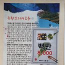 대덕상설시장 이미지