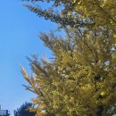 디제이주유소 이미지