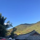 금정-11 | 부산 금정 | 11월 범어사 단풍명소 실시간 후기, 사진스팟 &amp; 주차정보