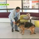 오마이펫 이미지