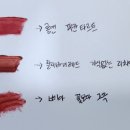 꽃이될개 | 삐아 꽃보다그윽 단종 대체템 비교 후기 릴리바이레드 롬앤