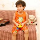 데이클로 이미지