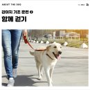 개님살롱 이미지