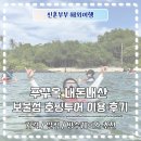 썬비치리조트 | 푸꾸옥 내돈내산 보물섬 호핑투어 이용후기 필수 준비물 추천 구매링크 정리