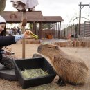 서광리-16 이미지