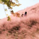 정읍사공원 이미지