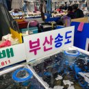 송도수산 이미지