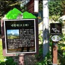 팔공산 둘레길 5구간 이미지