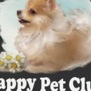 해피펫클럽 이미지