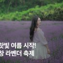 호남센터-91 이미지
