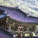 신애세탁소 이미지