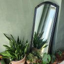 삼삼구옥 이미지