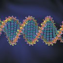 은행전자 이미지