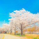 달창로,달창로26길 네이버블로그
