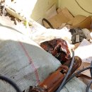 안녕남로 이미지