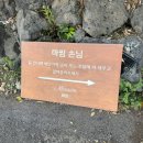 카카오 이미지