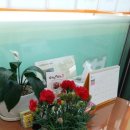 벽산블루밍부동산공인중개사사무소 이미지