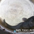 중앙촌길 네이버블로그