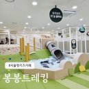 도봉2동어린이집 | 서울형키즈카페 도봉구 도봉2동점 봉봉트레킹 후기(예약방법,주차)