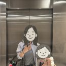 상업용 81 | 방콕 센트럴월드 81컷｜팝마트·코고로·카르마카멧 하루코스