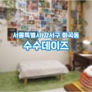 수수데이즈