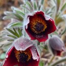 성당보건진료소 이미지