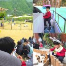 달뜰목 | 대구 네이처파크 동물원 백사자 시간 입장료 할인 교감키트 주차 오리배 후기