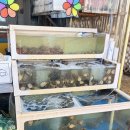 수산농장 | 2025 보령 천북 굴단지 굴축제 선창굴수산 다녀온 후기!