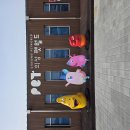 펫월드 | 의성펫월드 반려견 놀이터 다녀온 후기