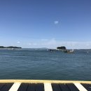 서해쭈꾸미 이미지