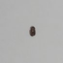 부흥로315번길 18 이미지