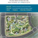 더 스타 이미지