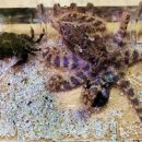 (주)파란제주 이미지