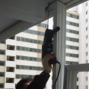 여주-0851 이미지