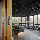 영바이브 이미지